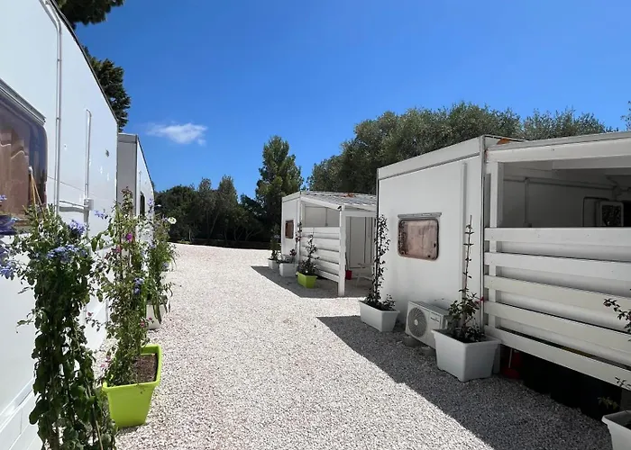 Car Palmasera Camping *