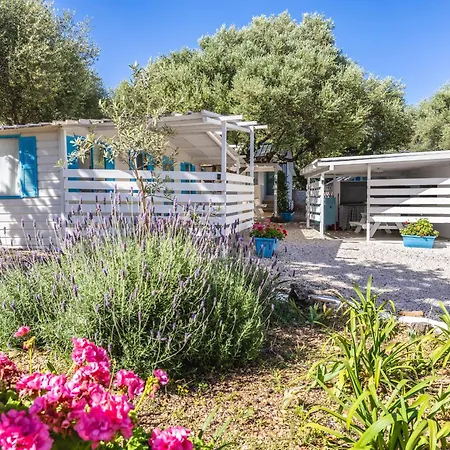 Car Palmasera Campsite